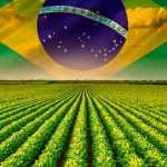 38bcfe 51393340070440c6833661272e47723dmv2