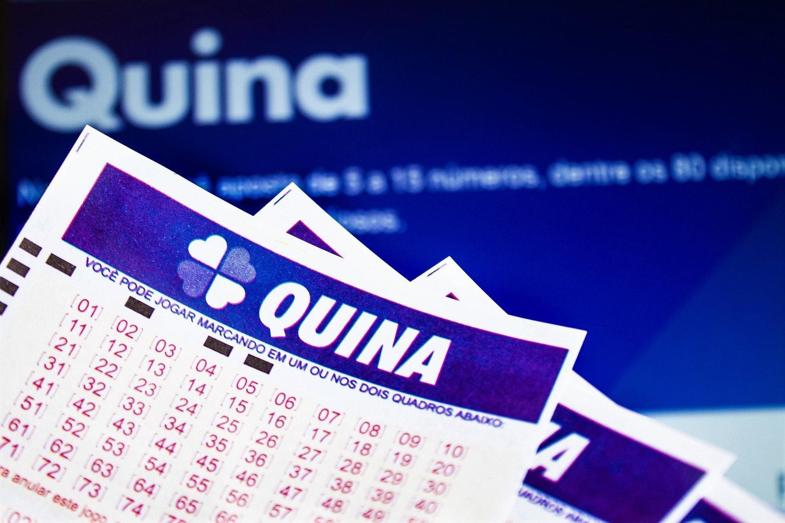 Bolão da Quina premiado: estratégias para jogar em grupo e ganhar mais 1 cidades bolao vencedor da quina quina 6243 bolao quina 1709012409