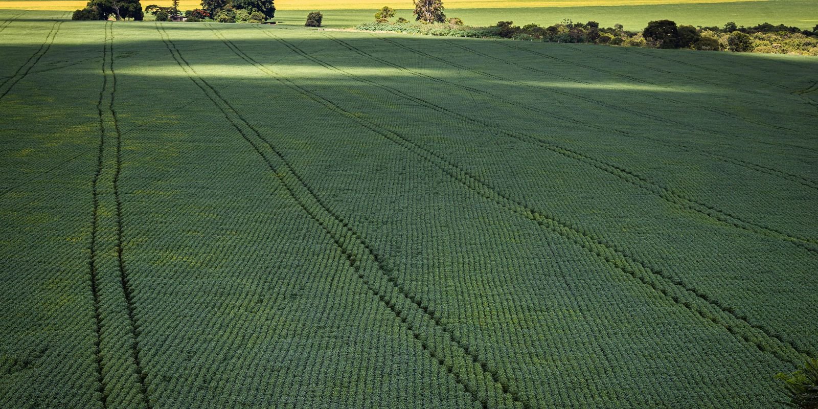 Senado aprova Profert para incentivar a produção de fertilizantes no Brasil 1 Senado aprova Profert para incentivar a produção de fertilizantes no Brasil