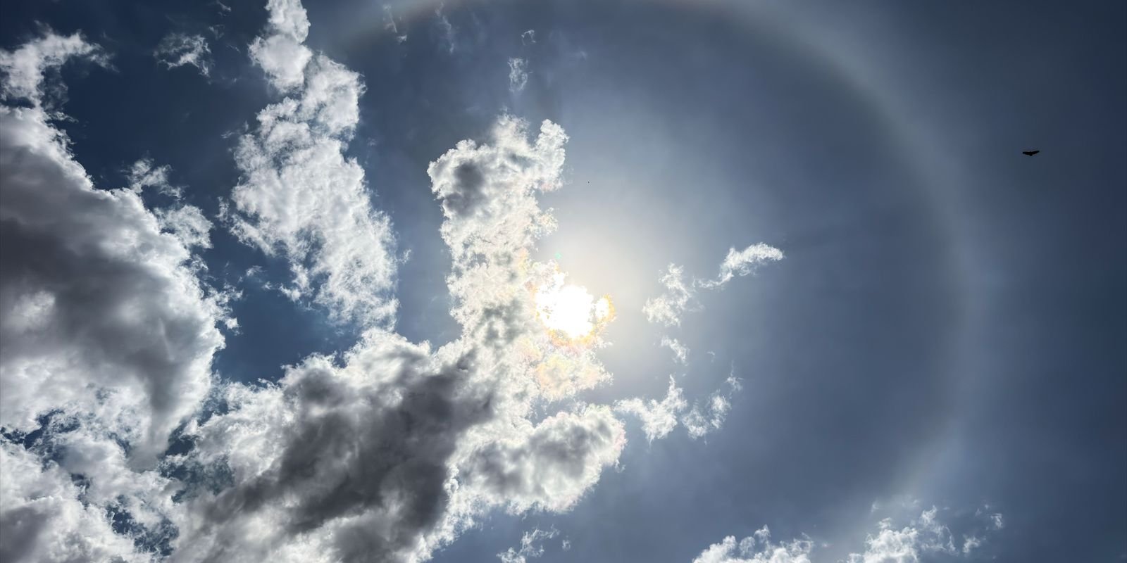 Entenda o que é o halo solar e como ele se forma